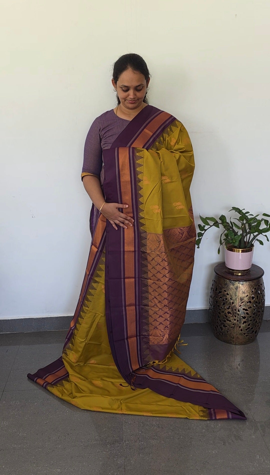 Gadwal semi soft silk saree - GS84
