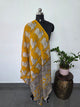 Handcrafted Kalamkari cotton dupatta-AK532
