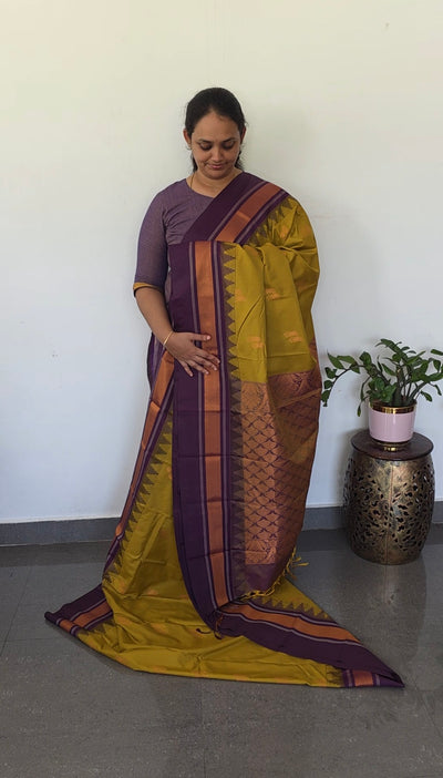 Gadwal semi soft silk saree - GS84