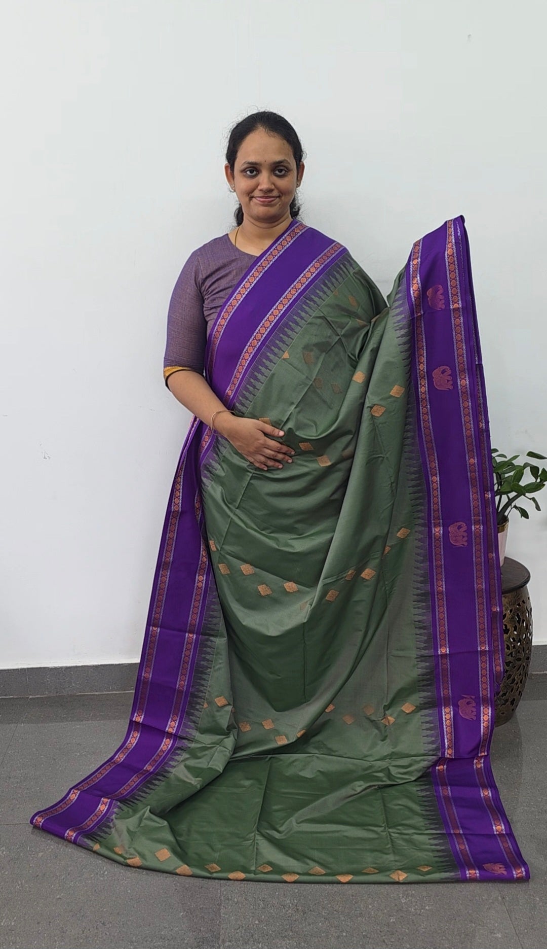 Gadwal semi soft silk saree - GS62