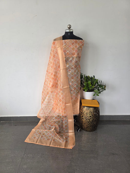 Premium fancy organza silk set- 248