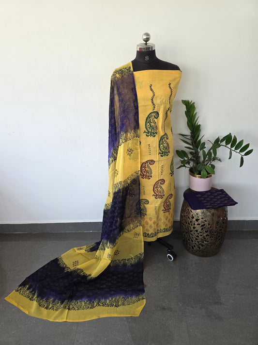 Handblock cotton with georgette shawl- GE33