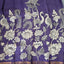 Kanchi border chennuri kalamkari  silk set - AK423