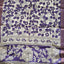 Kanchi border chennuri kalamkari  silk set - AK421