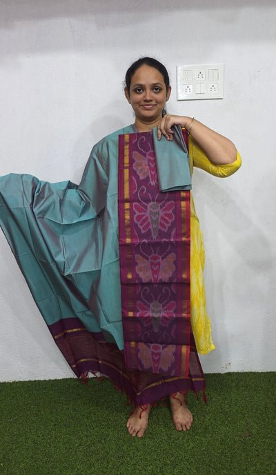 Pochampally sico set with ikkat damn - WW575