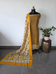Gap border Checked chennuri kalamkari silk set-AK628