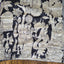 Kanchi border chennuri kalamkari  silk set - AK427