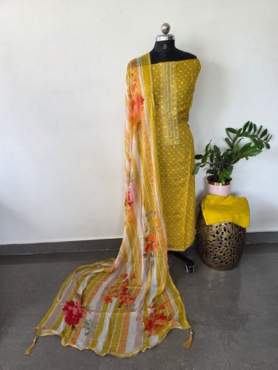 Premium viscose organza silk set - VM34