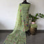 Embroidery organza Kota salwar set - KV43