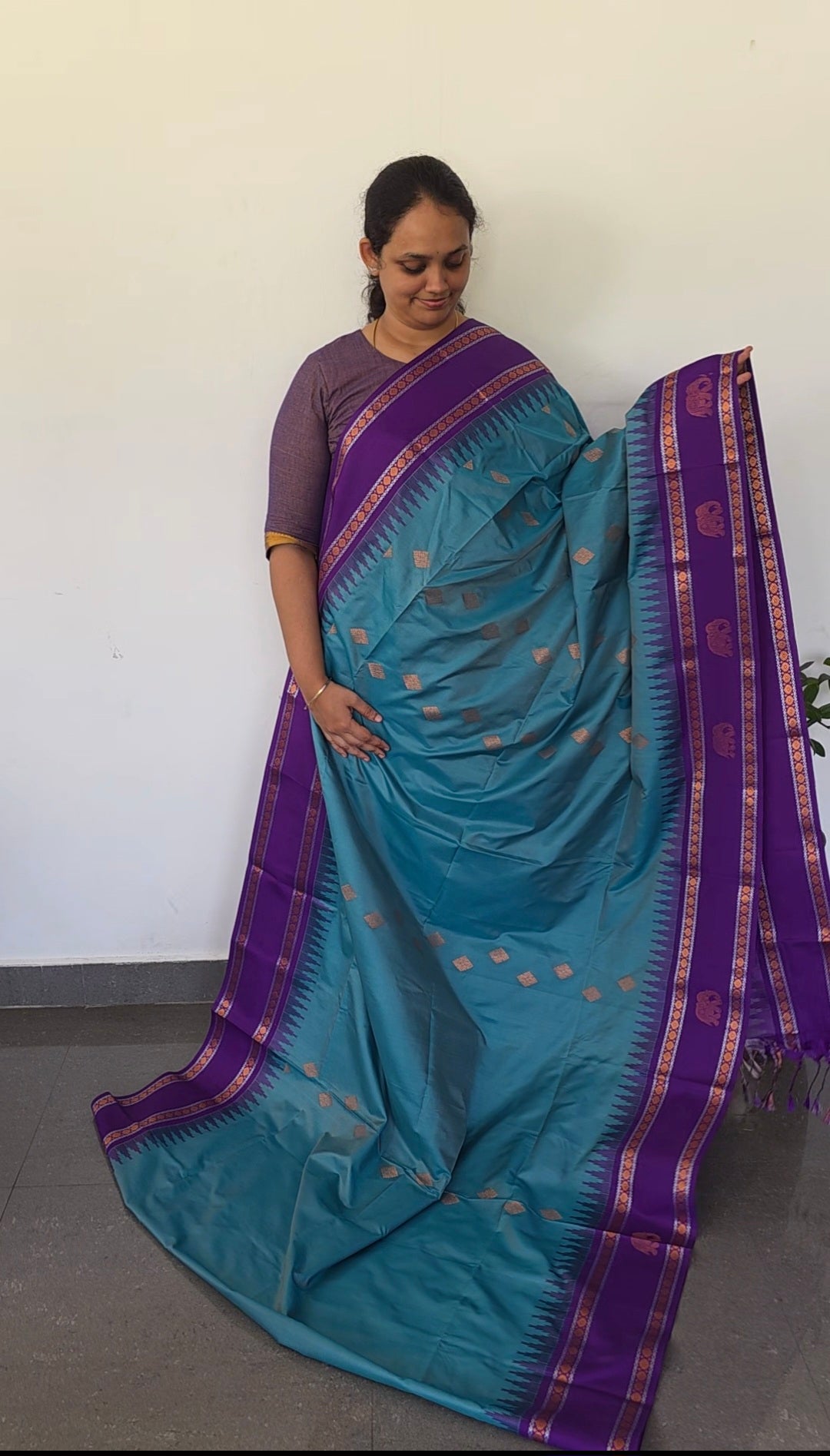 Gadwal semi soft silk saree - GS86