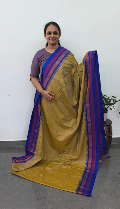 Gadwal semi soft silk saree - GS66