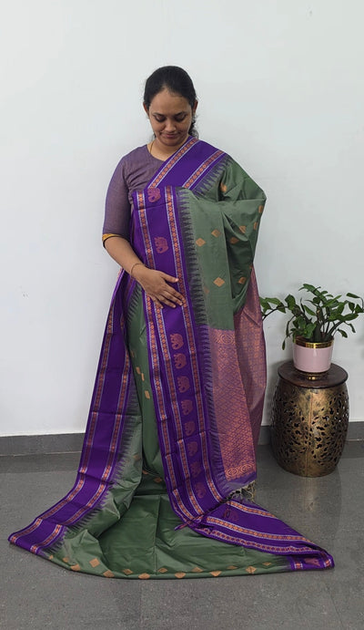 Gadwal semi soft silk saree - GS62