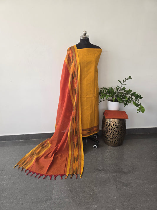 Handloom cotton with Pochampally border - PHC10