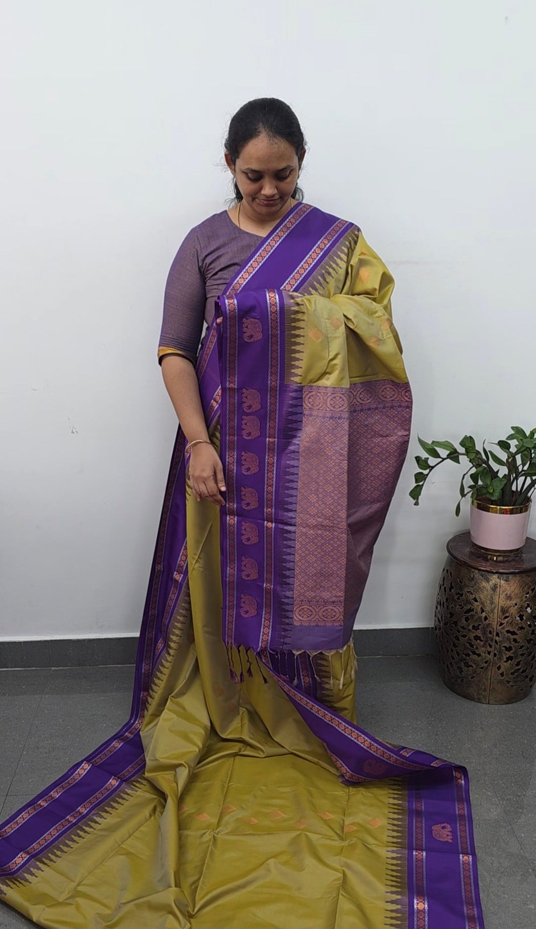 Gadwal semi soft silk saree - GS59