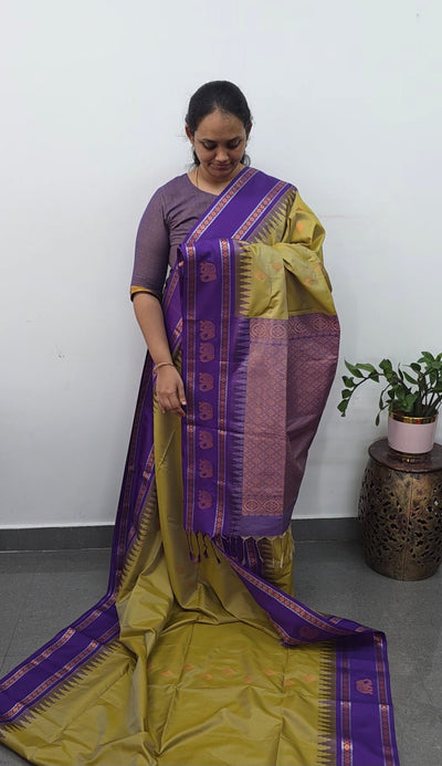 Gadwal semi soft silk saree - GS59