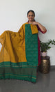 Pochampally full ikkat sico set - SZ318