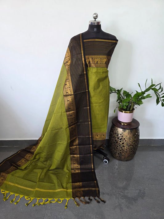 Premium chettinadu cotton salwar set - CK158