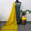 Checked Bhagalpuri fusion mangalagiri silk set - BA523