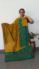Pochampally sico set with ikkat damn - SD540
