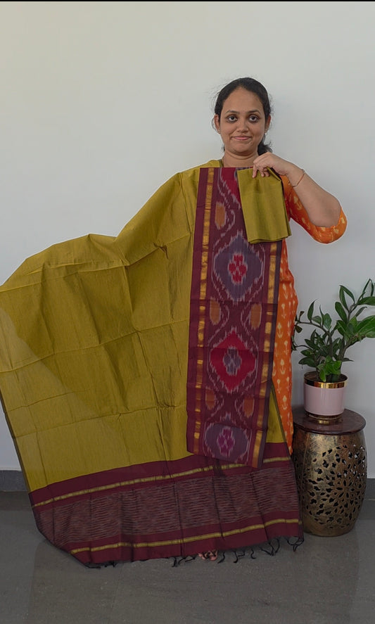 Pochampally sico set with ikkat damn- SZ279
