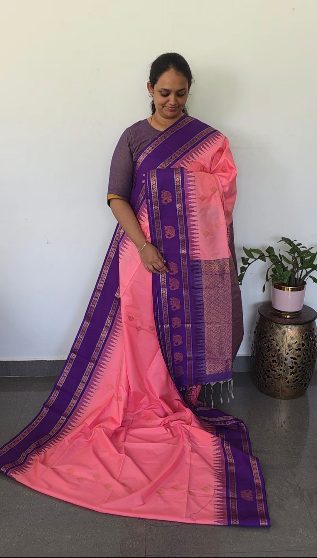 Gadwal semi soft silk saree - GS87