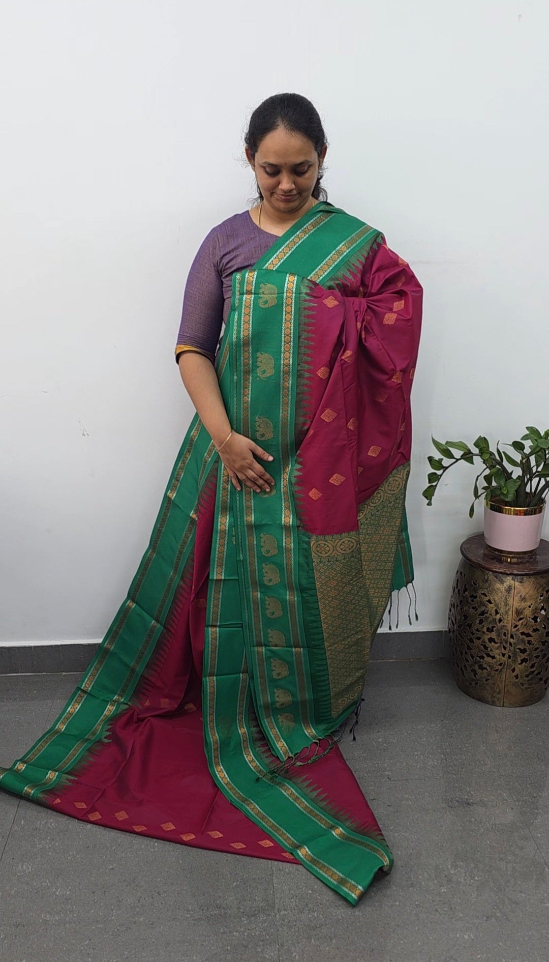 Gadwal semi soft silk saree - GS60