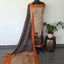 Kalamkari katha- Chennuri pure kalamkari silk set - AK385