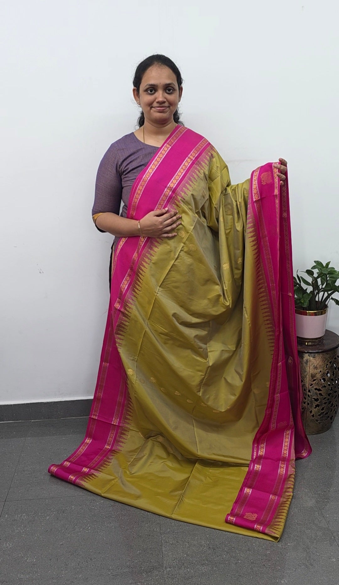 Gadwal semi soft silk saree - GS55