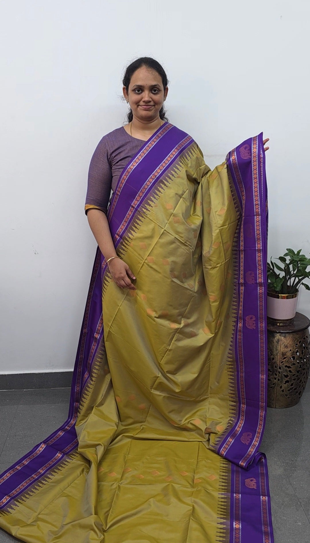 Gadwal semi soft silk saree - GS59