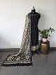 Gap border Checked chennuri kalamkari silk set-AK620