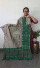 Pochampally sico set with ikkat damn -Sz322