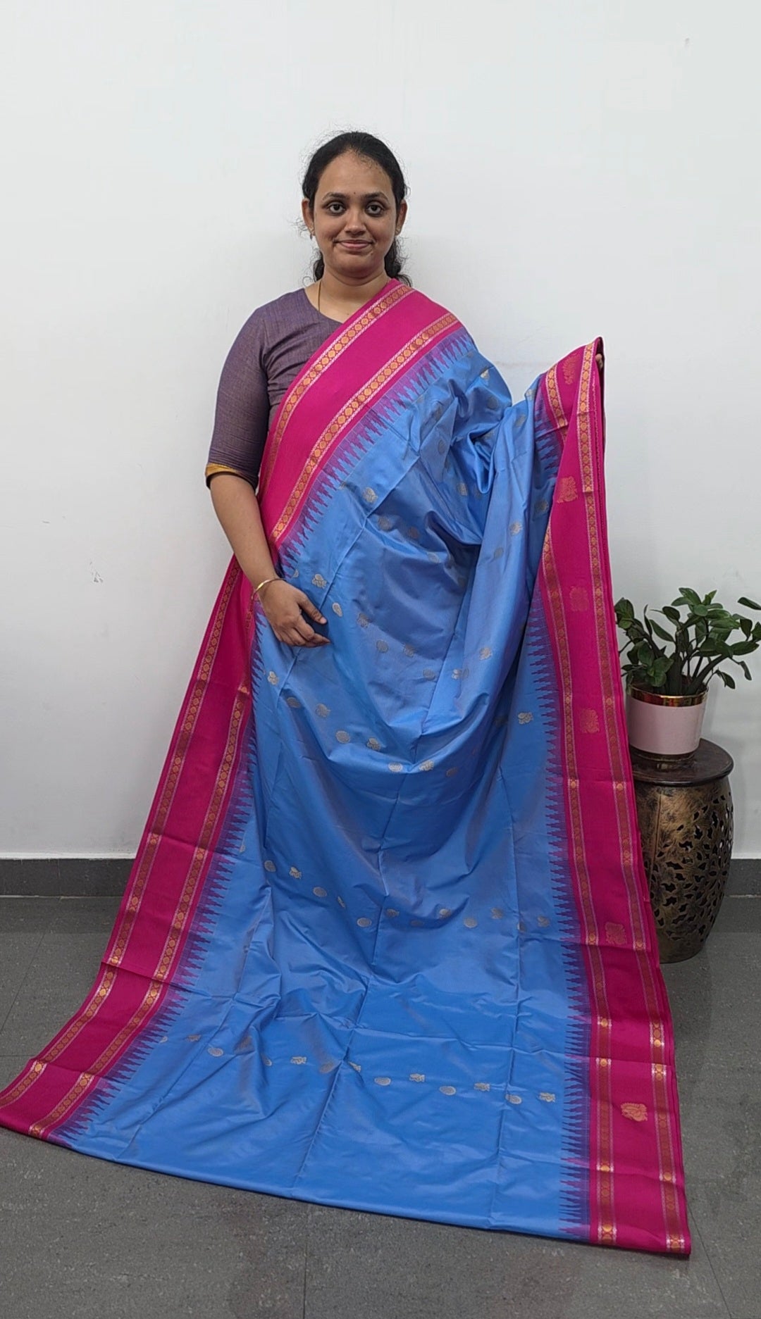 Gadwal semi soft silk saree - GS56