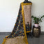 Kalamkari katha- Chennuri pure kalamkari silk set - AK389