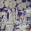 Kanchi border chennuri kalamkari  silk set - AK421