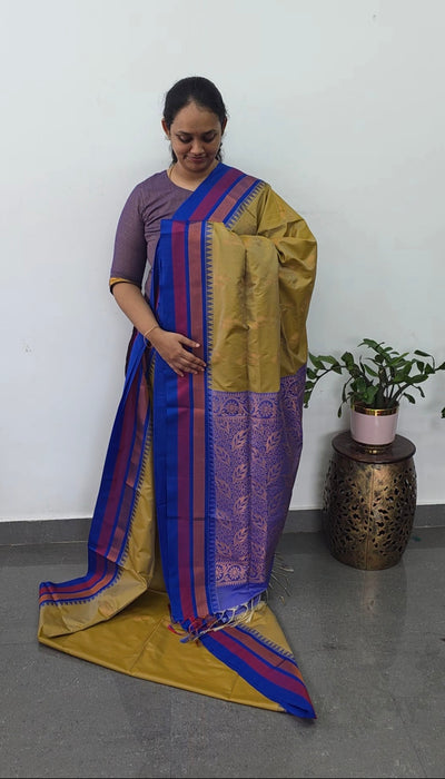 Gadwal semi soft silk saree - GS66