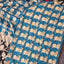 Pure kalamkari cotton salwar ( 2 pc set ) - AK120