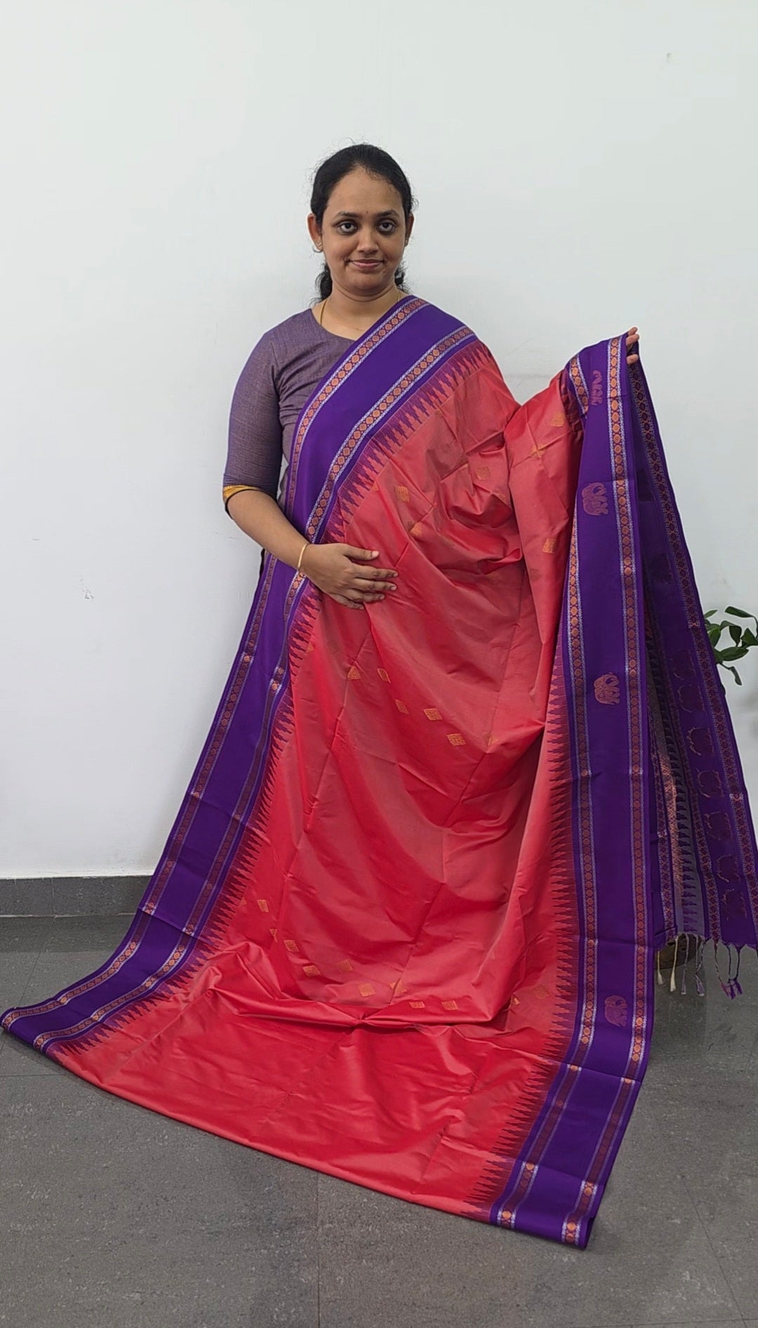 Gadwal semi soft silk saree - GS64