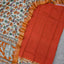 Gap border Checked chennuri kalamkari silk set-AK622