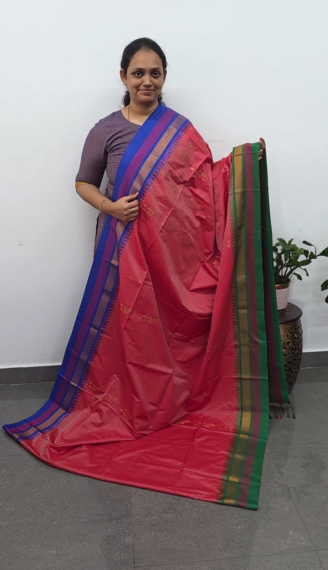 Gadwal semi soft silk saree - GS54
