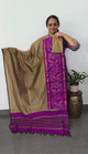 Pochampally sico set with ikkat damn - SD539