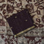 Fusion Narayanapet with handcrafted chennuri silk kalamkari duppatta -NA688