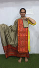 Pochampally sico set with ikkat damn - WW576