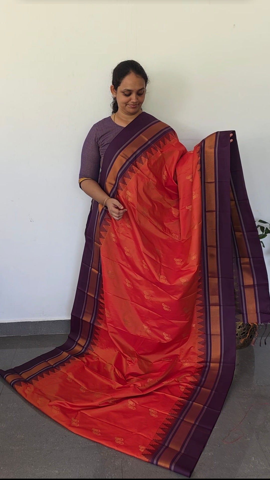 Gadwal semi soft silk saree - GS79