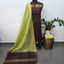 Checked Bhagalpuri fusion mangalagiri silk set - BA526